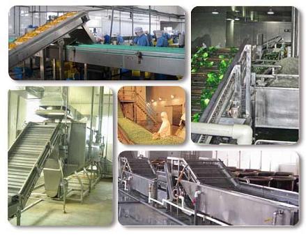 Fruit and Vegetable Processing line