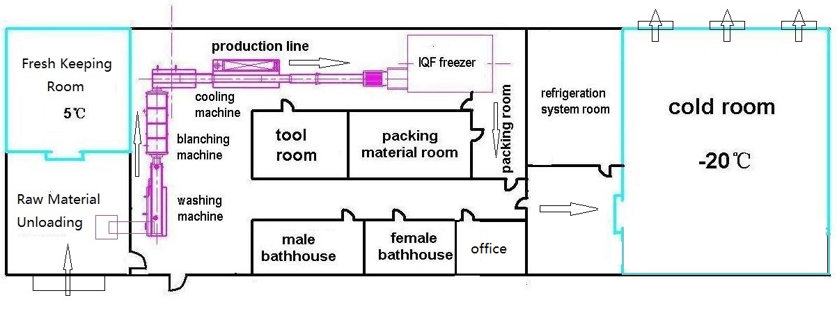 IQF Fruit and Vegetable Processing line