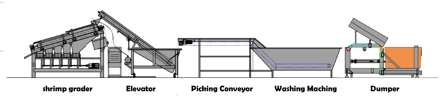 shrimp washing and grading line