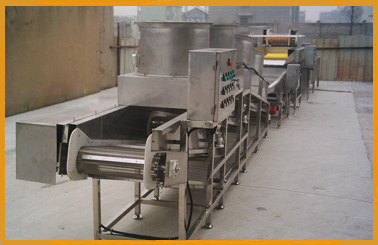 Tvegetable cleaning machines