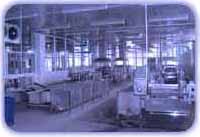 vegetable and fruit processing plant