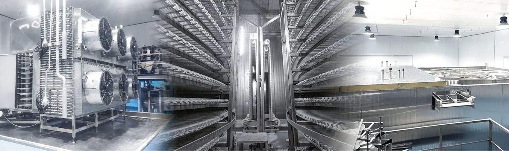 sprial iqf freezer