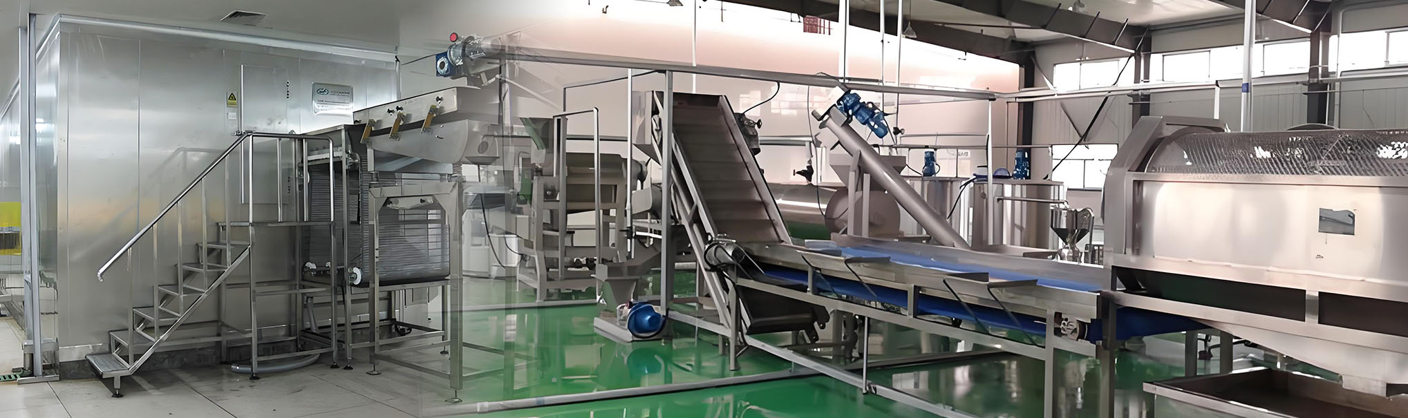 iqf vegetable processing line