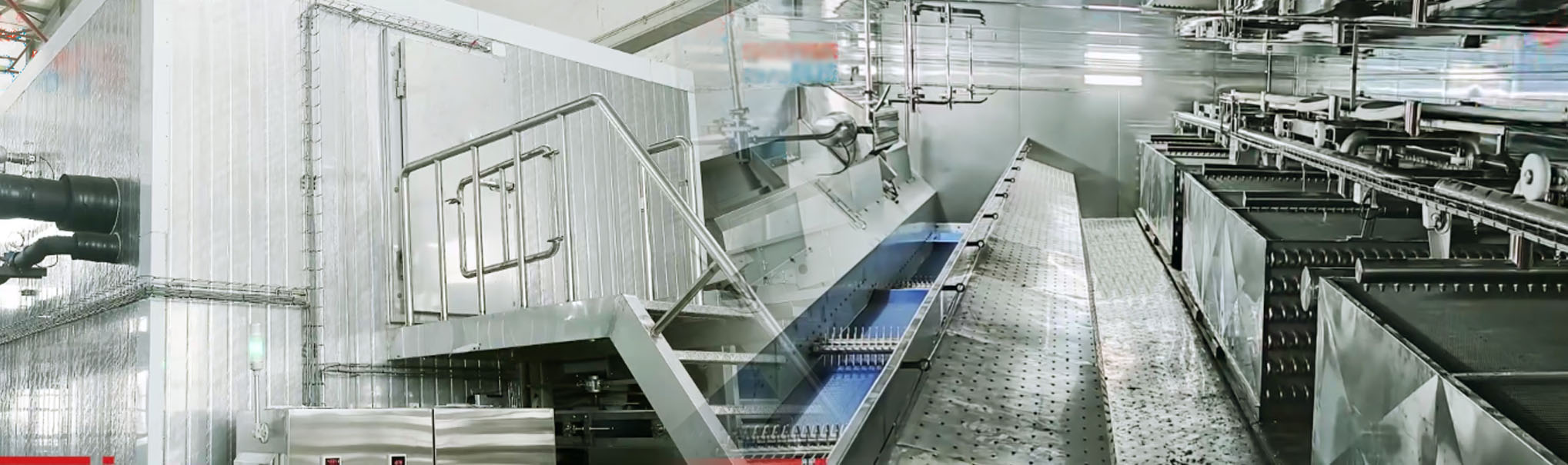 fluidized bed iqf tunnel freezer