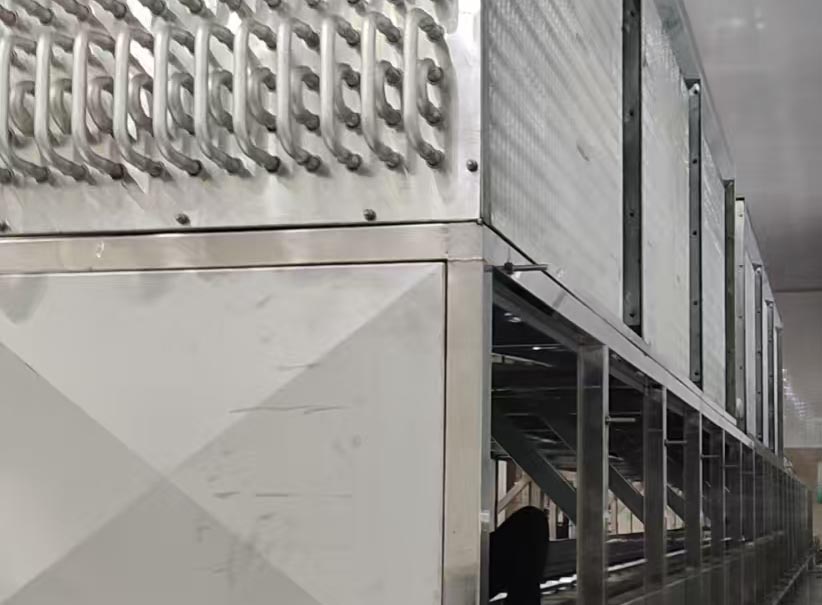 iqf tunnel quick freezing machine